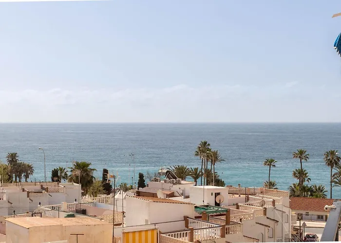 Albaida 4j * ネルハ